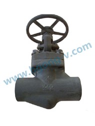 API/DIN Forged steel A105 high pressure thread globe valve